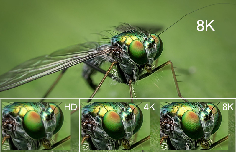 مقایسه کیفیت عکس 8K و 4k